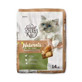 Special Kitty Review