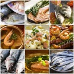 Omega Fatty Acids