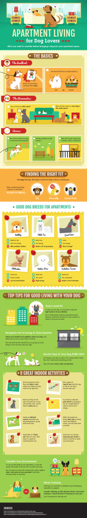 Apartment Living for Dog Lovers