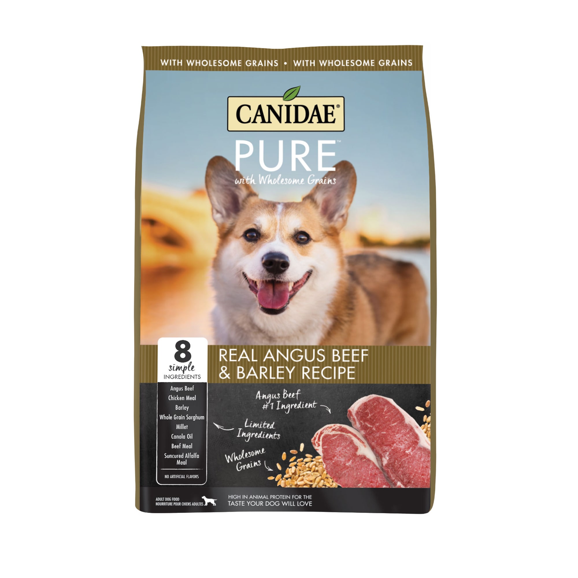 Dry Dog Food Ratings / Natural Dog Food Review Only Natural Pet Dog
