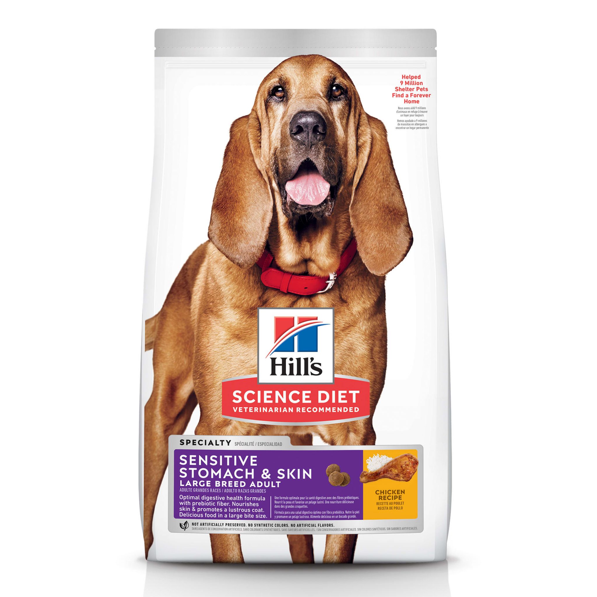 Hill's Science Diet Adult Sensitive Stomach & Skin Large