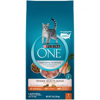 Purina ONE cat food review