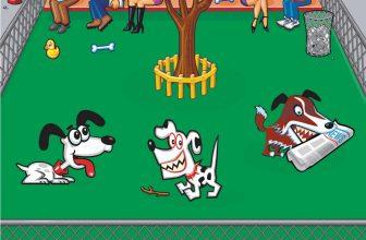 Is your puppy ready for the dog park