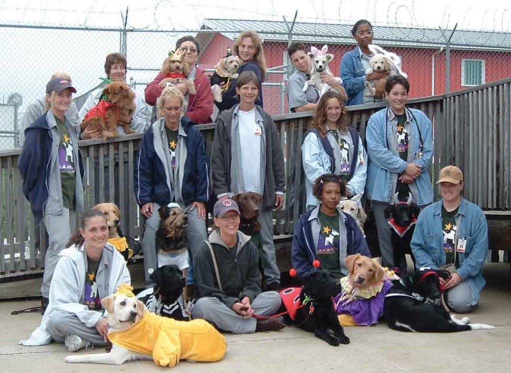 Prison dogs Prison dogs