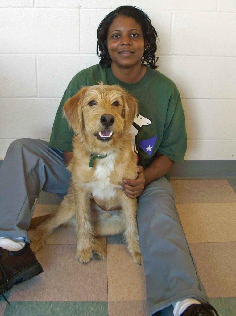 Prison dogs Prison dogs