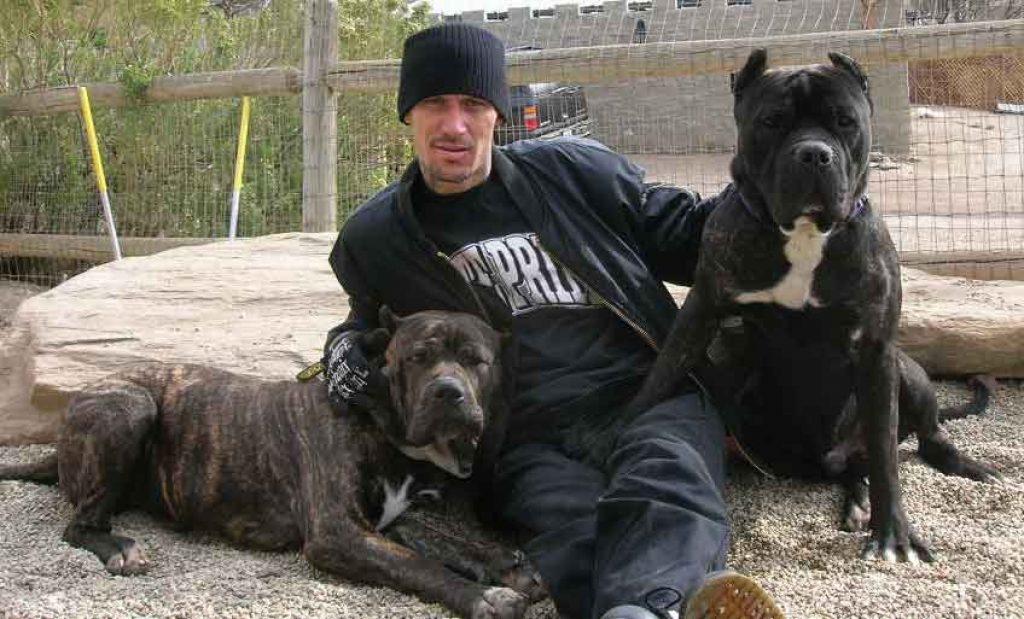 Prison dogs Prison dogs