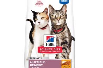 Hills Science Diet Cat Food Review