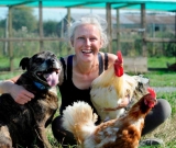 Hospice care for dogs