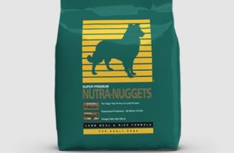 Kirkland lamb dog food review sales