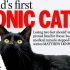 Finding pet food and pet supply coupons