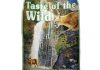 Taste of the Wild Cat Food Review