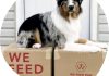 We Feed Raw Dog Food Review
